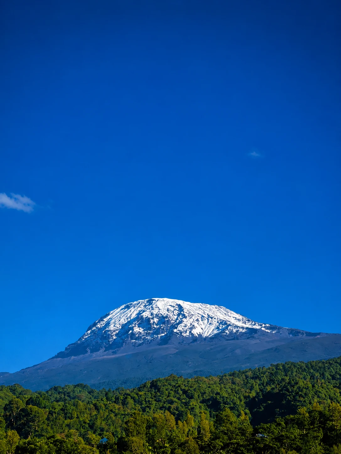 Mount Kilimanjaro snow covered summit during golden sunrise in Tanzania